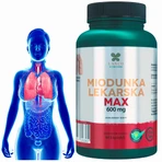 Lanco Nutritions Plumeria medica Max 600 мг, 60 капсул: ціни та характеристики