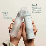 Caudalie Vinoclean, миндальное молочко для снятия макияжа, 200 мл: цены и характеристики