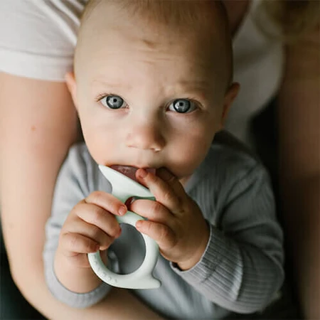 BabyOno, силіконовий прорізувач для зубів, равлик, зелений, від народження, 1 шт.: ціни та характеристики