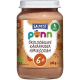SALVEST Põnn BIO Абрикосы с овсяными хлопьями 1×200 г, фруктовая закуска