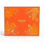 Weleda Мужской спортивный набор 375 мл: цены и характеристики