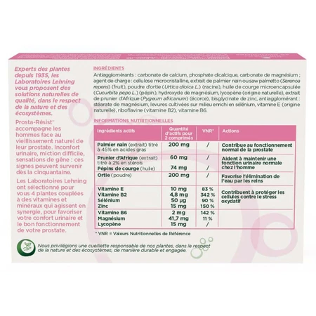 Lehning Prosta-Résist® 60 таблеток: цены и характеристики