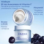 Caudalie Vinoperfect, крем от гиперпигментации с ниацинамидом, дневной, 50 мл: цены и характеристики