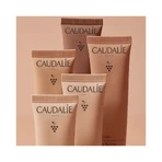Caudalie Vinocrush, крем-фарба, відтінок 2, 30 мл: ціни та характеристики
