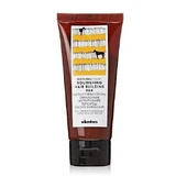 Живильна відновлювальна маска Davines, 60 мл