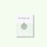 Mycelab Brain B Пам'ять і концентрація 70 гелевих капсул
