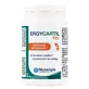 Nutergia Ergycartil Flex подвижность и гибкость суставов 90 гелей