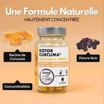 Kotor Pharma Turmeric + Piperine Digestion 60 таблеток: цены и характеристики