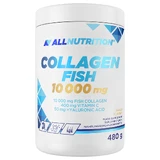 Allnutrition Колаген рибний 10000 мг, зі смаком манго, 480 г