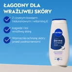 Nivea Derma Control Restore, гель для душу, 250 мл: ціни та характеристики