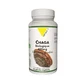 Vit'All+ Чага органическая 60 вегетарианских капсул