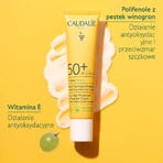Caudalie Vinosun Protect, невидимий, легкий крем з дуже високим ступенем захисту, SPF 50+, 40 мл + 20 мл безкоштовно: ціни та характеристики