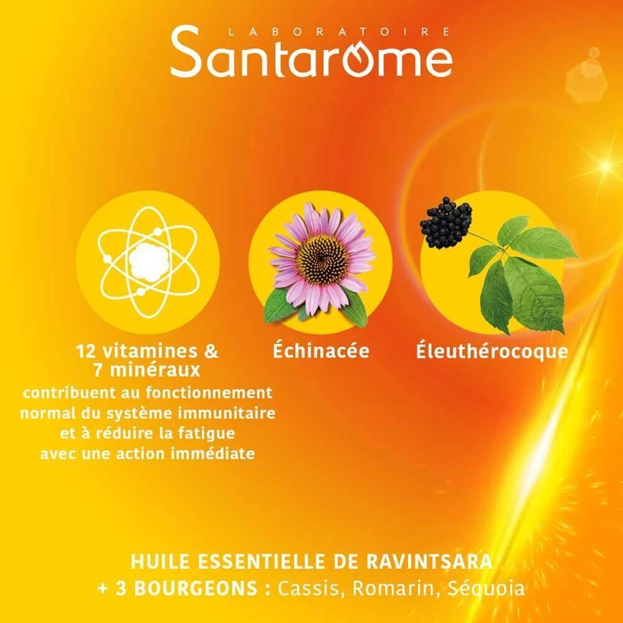 Santarome Vita'max Boost for Flash Immunea 30 таблеток: цены и характеристики