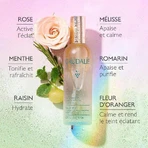 Caudalie Вода красоты для всех типов кожи 30 мл: цены и характеристики