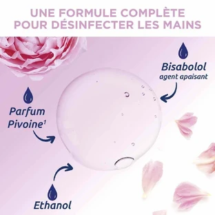 Дезінфікуючий гель для основної дезінфекції Hydroalcoolique Pivoine Peaux sensibles 300мл