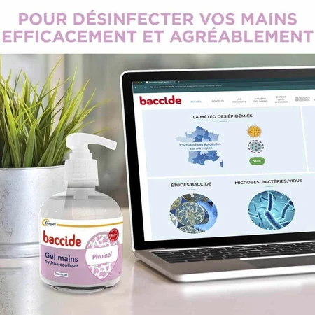 Дезінфікуючий гель для основної дезінфекції Hydroalcoolique Pivoine Peaux sensibles 300мл: ціни та характеристики
