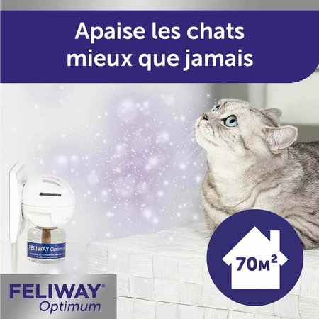 Feliway Optimum Serenity Renforcée Refill for Happy Families Chat 48ml: цены и характеристики