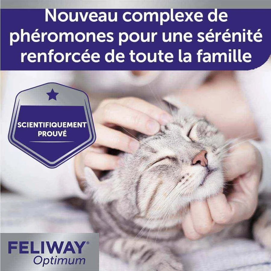 Feliway Optimum Serenity Renforcée Refill for Happy Families Chat 48ml: цены и характеристики