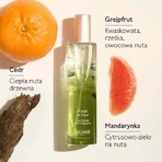 Caudalie Fleur de Vigne, освежающая вода, 50 мл: цены и характеристики