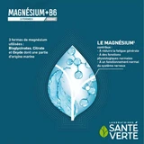 Sante Verte Магній + В6 3 форми 360 мг пролонгованої дії 60 таблеток, що розсмоктуються