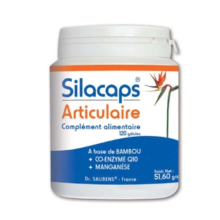 Labo Sante Silica Silacaps Articulaire 120 Gelule