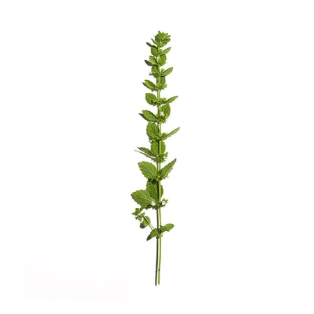 Sanoflore Aciana Botanica Organic мицеллярная очищающая вода 400 мл: цены и характеристики