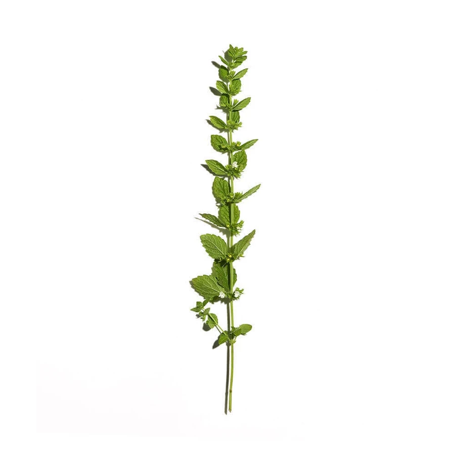 Sanoflore Aciana Botanica Organic мицеллярная очищающая вода 400 мл: цены и характеристики