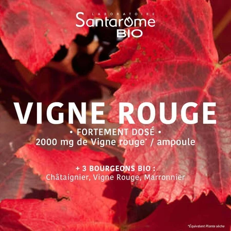 Santarome Vigne Rouge Способствует венозному возврату Био 20 ампул 10 мл: цены и характеристики