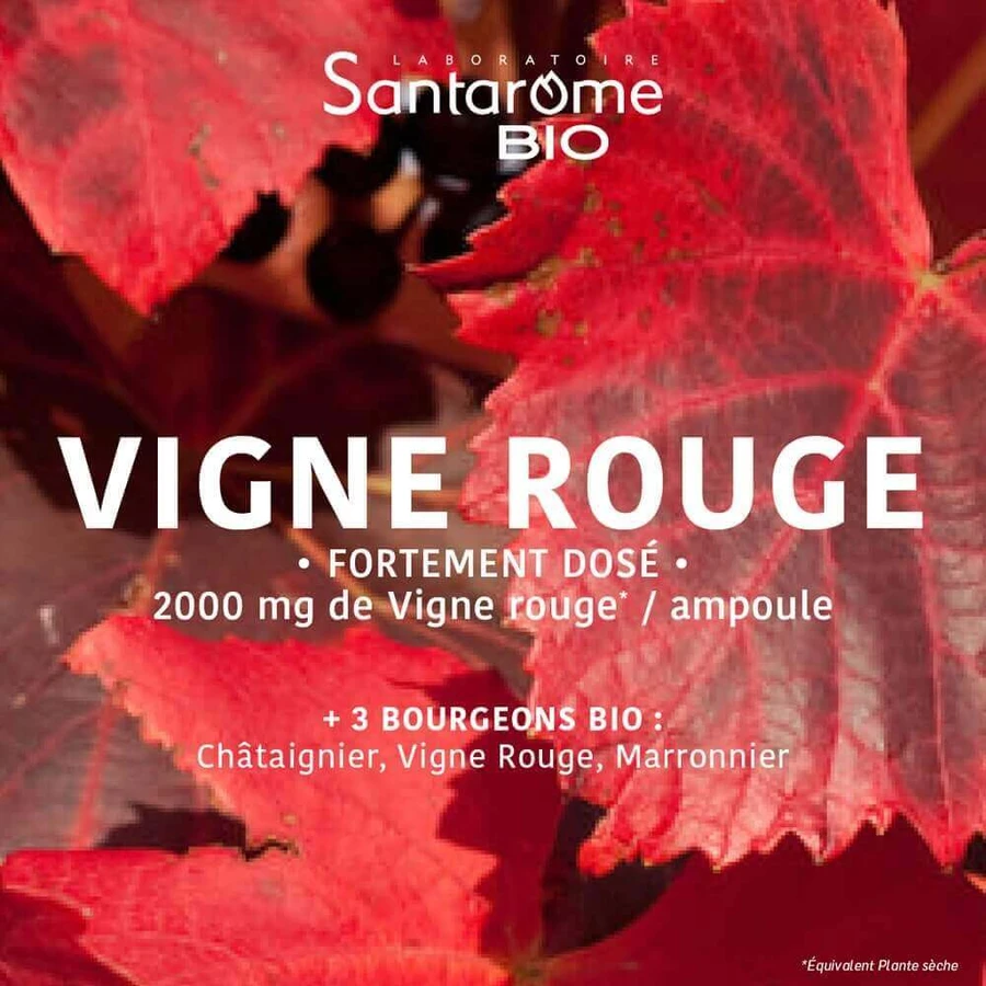 Santarome Vigne Rouge Способствует венозному возврату Био 20 ампул 10 мл: цены и характеристики
