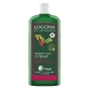 Logona Зміцнюючий шампунь з кофеїном Bio 250мл