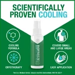 Biofreeze Cold-Action Spray 118 мл: цены и характеристики