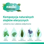 Носы, ароматические пластыри для детей, от 18 месяцев, 6 штук: цены и характеристики