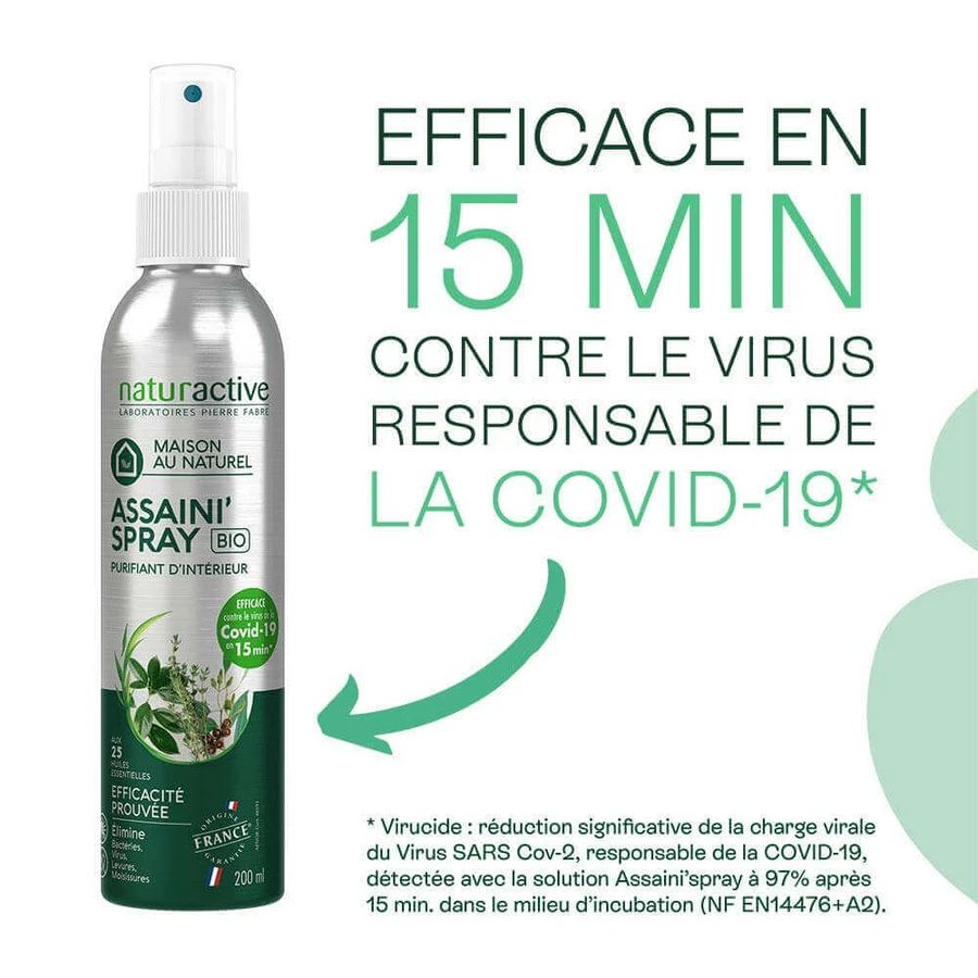 Naturactive Очищающий органический спрей для помещений 200 мл: цены и характеристики