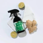 Perfect House Perfume, интерьерный парфюм, имбирь, лайм и кедровое дерево, 500 мл: цены и характеристики