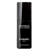 Туалетна вода Chanel Antaeus Pour Homme, 100 мл