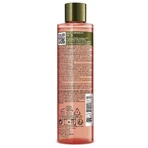 Sanoflore Rosa Fresca Face Lotion Damask Rose Bio Botanical Essence 200ml: цены и характеристики