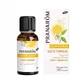 Pranarôm Les diffusables Zeste Tonique Biologique 30ml