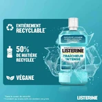 Listerine Интенсивная свежесть для ванны 500 мл: цены и характеристики