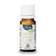Дифузор Neobulle Tout Pur Diffuser Synergy 10мл