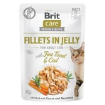 Brit Care Fillets in Jelly Fine Trout & Cod - Вологий корм з тріскою і фореллю для котів (філе в желе), 85 г: ціни та характеристики