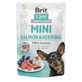 Brit Care (Брит Кеа) Mini Salmon & Herring for sterilised dogs - Влажный корм с лососем и сельдью для стерилизованных собак мелких и мини-пород (филе в соусе), 85 г
