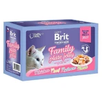 Brit Premium Delicate Fillets in Jelly Family Plate - Набор паучей "Семейная тарелка" в желе для котов, 12 шт х 85 г: цены и характеристики
