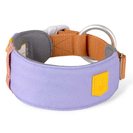 Woolly Wolf Alpha 360 Collar Lavender Нашийник з м'якою підкладкою та світловідбивачами для собак малих та середніх порід, S (25-35 см): ціни та характеристики