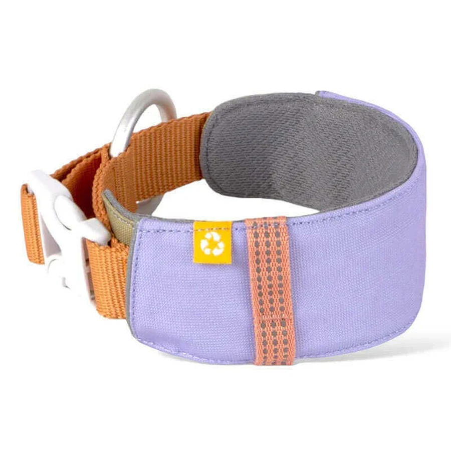 Woolly Wolf Alpha 360 Collar Lavender Нашийник з м'якою підкладкою та світловідбивачами для собак малих та середніх порід, S (25-35 см): ціни та характеристики