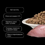 Cherie (Шери) Strong Muscle&Joint Adult Turkey Entrees - Сухий корм з індичкою для підтримки здоров'я м'язів і суглобів котів, 400 г: ціни та характеристики
