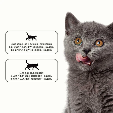 Cherie (Шери) Complete&Balanced Tuna Kitten - Влажный корм Мусс с тунцом для котят, 80 г: цены и характеристики