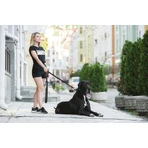 Collar (Коллар) Evolutor - Поводок Эволютор для собак средних, крупных и гигантских пород (Чорный), 2,5 х 210 см: цены и характеристики