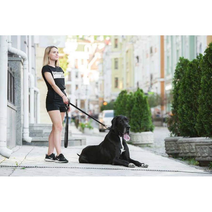 Collar (Коллар) Evolutor - Поводок Эволютор для собак средних, больших и гигантских пород (Черный), 2,5 х 300 см: цены и характеристики