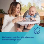 Canpol Babies, чашка-капельница с силиконовым мундштуком и ручками, Bonjour Paris, розовая, старше 6 месяцев, 250 мл: цены и характеристики