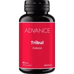 Advance Tribul 60 капсул: ціни та характеристики